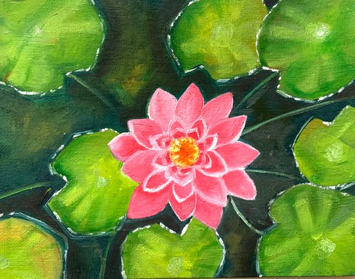 Pink water lily! Small Oil painting ! by Amita Dand
