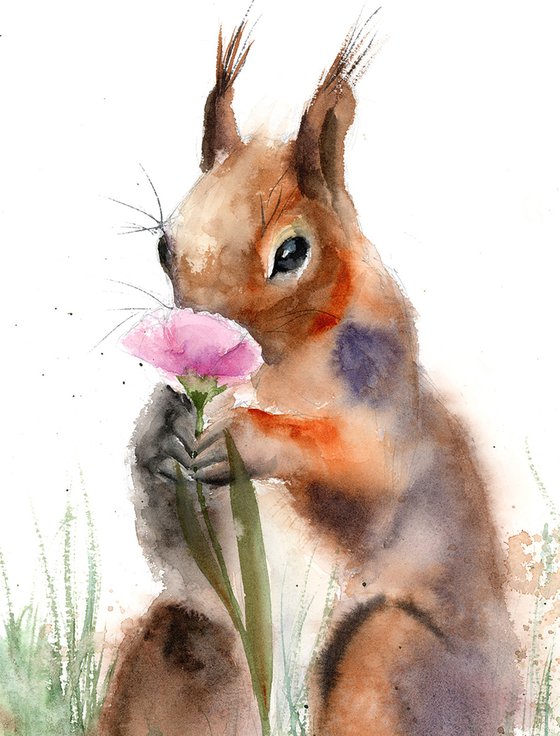 Squirrel Sniffing Flower