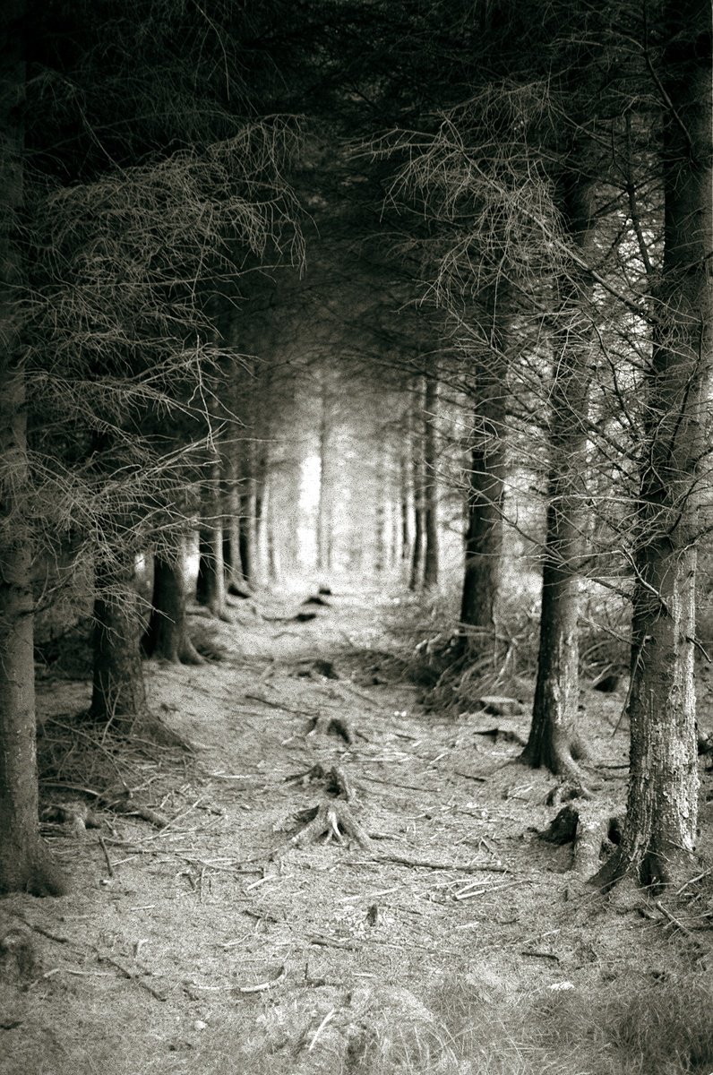 Graphic Photograph , Dublin Mountains By Frankie Malone, 23 X 17, Artwork For Sale On Artfinder