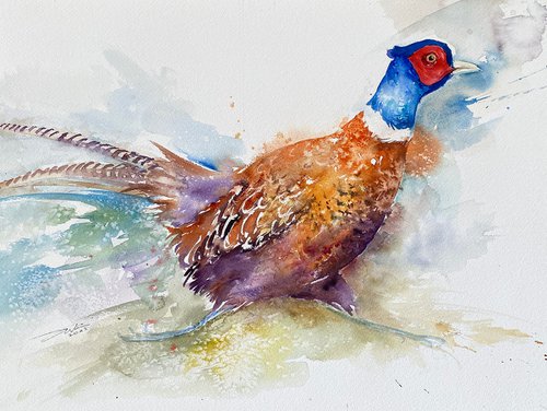 Can't be Late_ Pheasant by Arti Chauhan