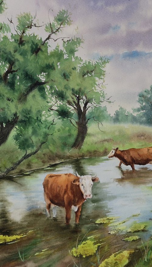 Cows at the Stream by Olga Beliaeva Watercolour