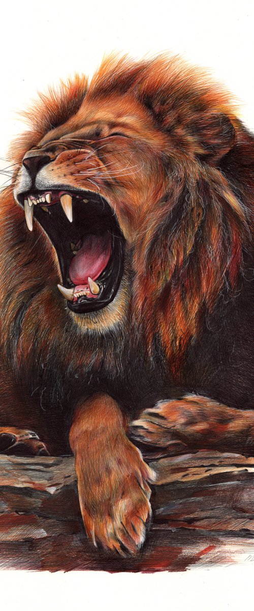 Lion - Animal Portrait by Daria Maier