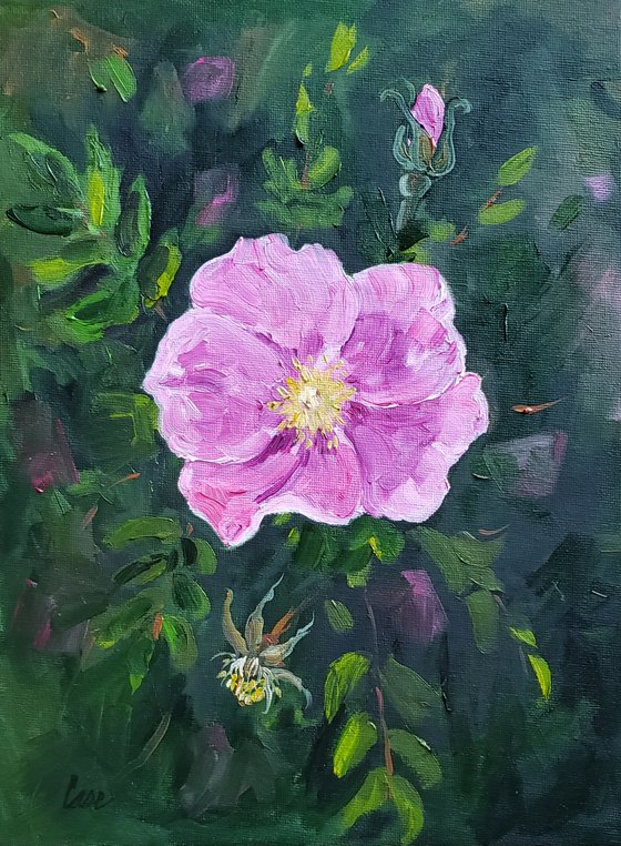 Flower - Botanical - "Prairie Rose"