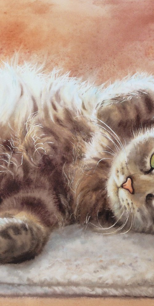 Fluffy Cat Sunshine by Olga Beliaeva Watercolour