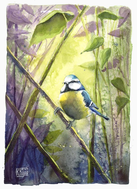 Blue Tit on spring twig