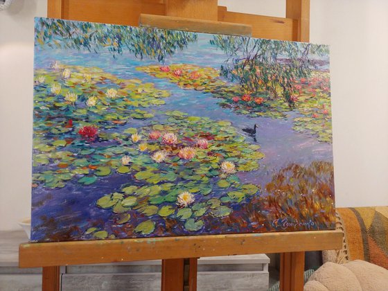 Nymphaeums are enveloped in the sun.