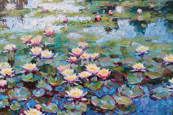 "Water lilies"