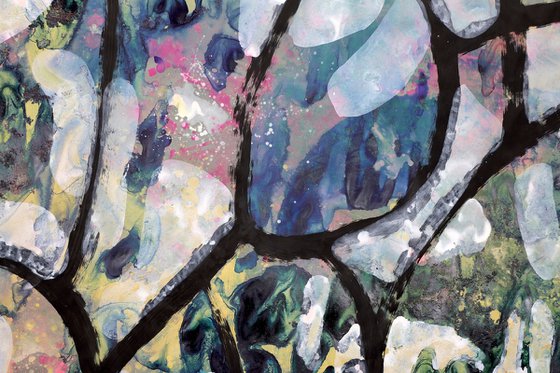 Letting the Light In