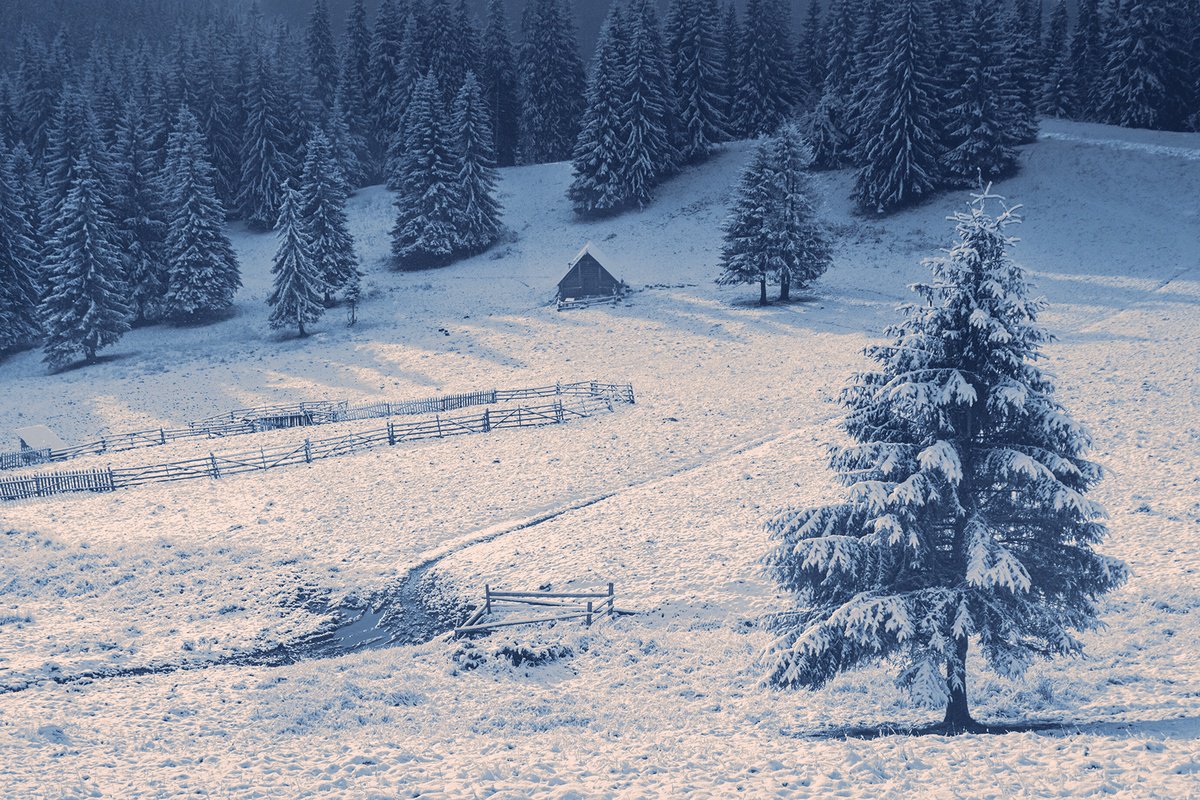 Photorealistic Landscape Photograph By Valerix, 24 X 16", First Winter Morning., Original Artwork