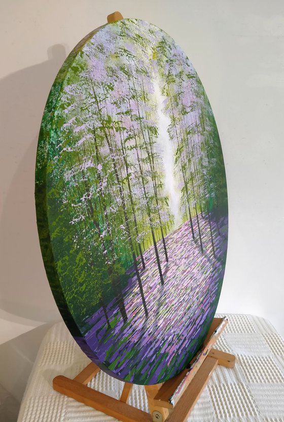 Evergreen Glade