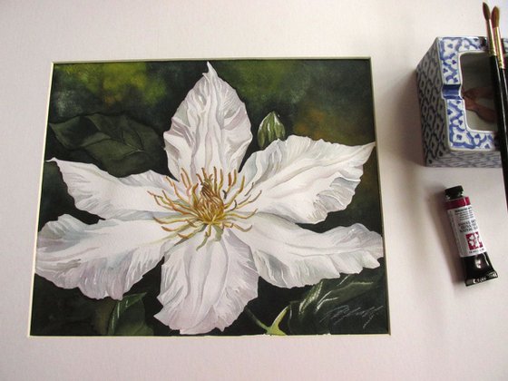 white clematis