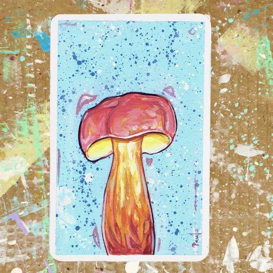 Two coloured bolete
