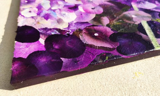 Violet Rhapsody
