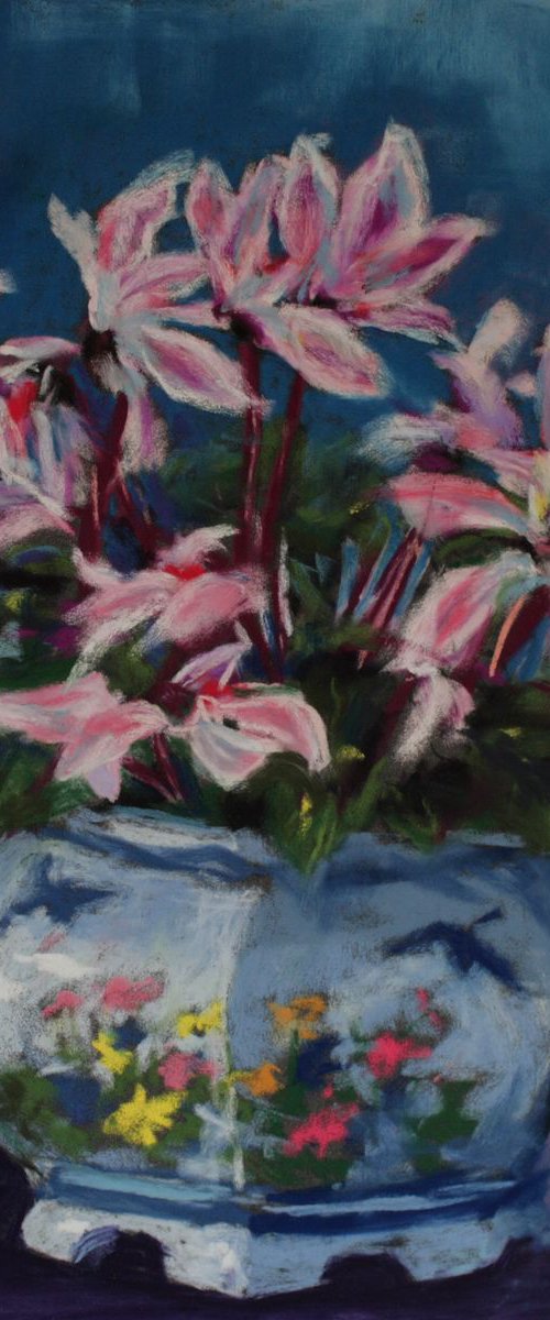 Cyclamen by Marion Derrett