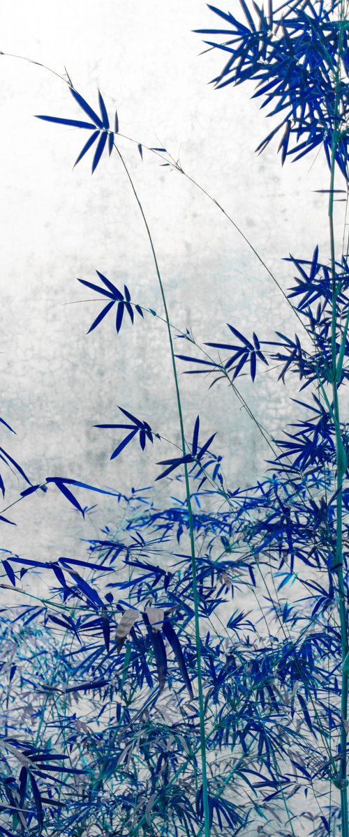 The power of simplicity I by Viet Ha Tran