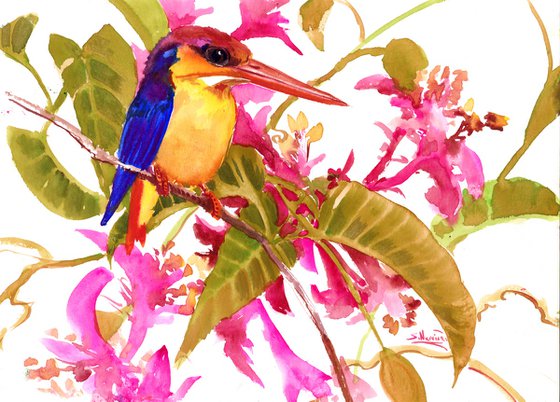 Oriental Kingfisher