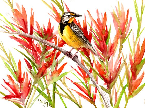 Meadowlark and Paintbrush