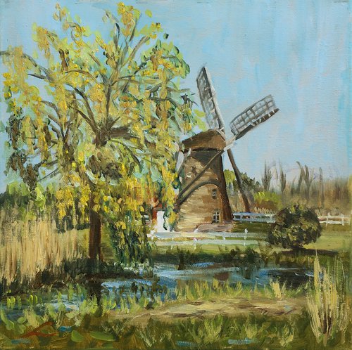 Spring windmill in Maasluis by Elena Sokolova