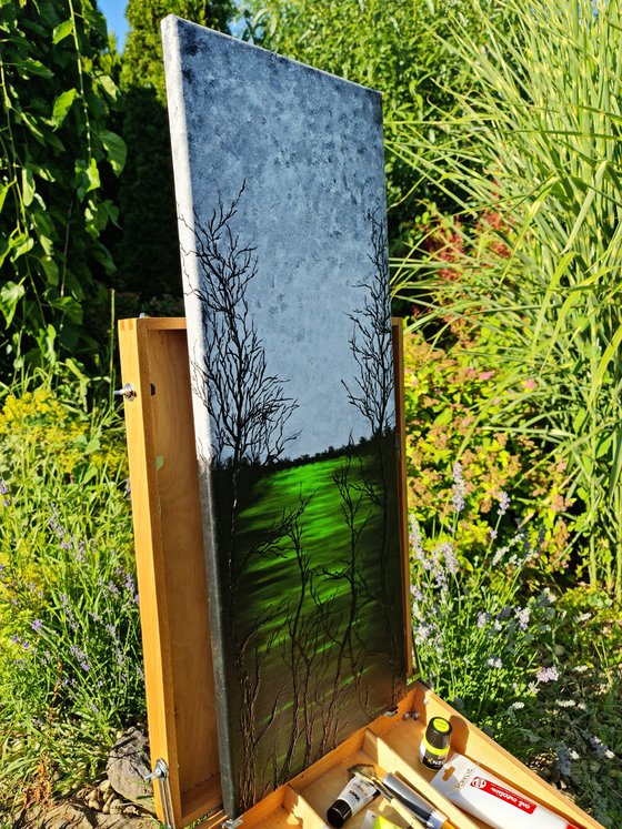 Green lake 1