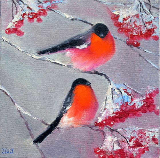 Bullfinches in winter