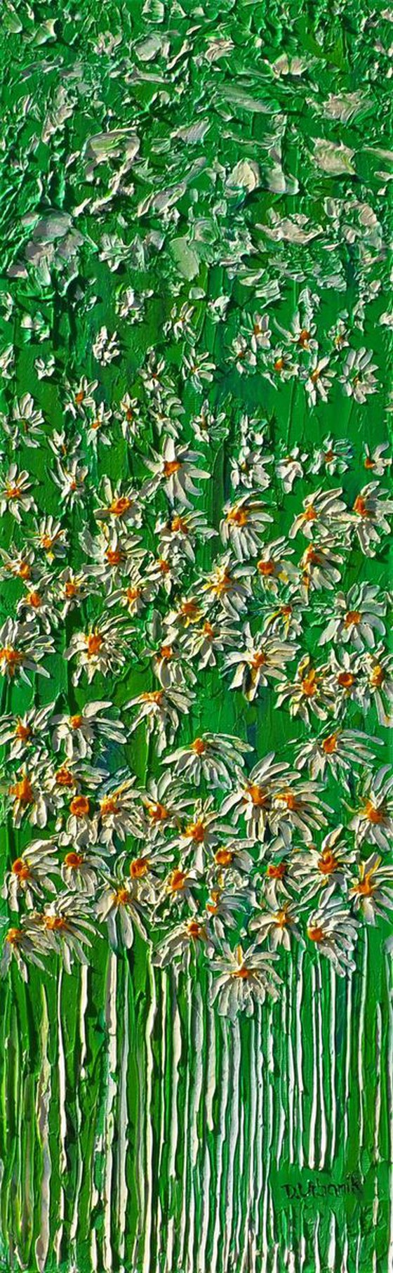 Daisies In The Grass 2