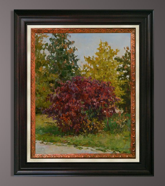 Autumn, red bush