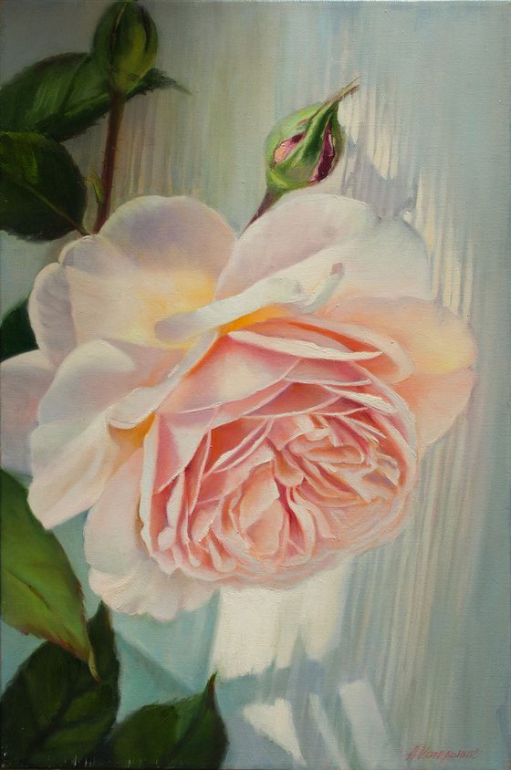 "Country Rose"  white pink macro rose flower  liGHt original painting  GIFT (2018)