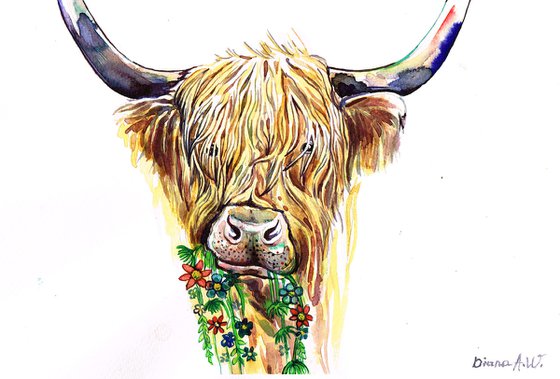 Highland Moo Cow