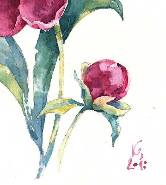 "Scent of a peony flower on a summer evening" original botanical watercolor square format