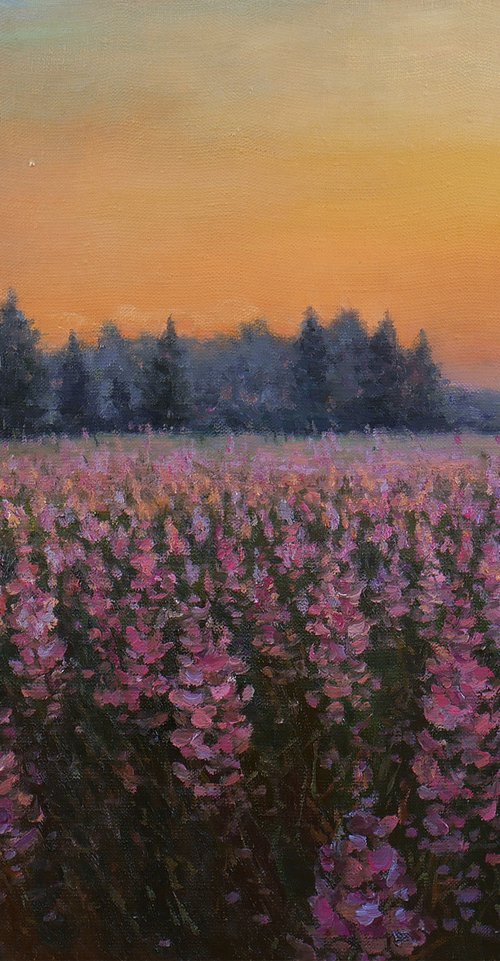 Sunset over the purple flowers - summer painting by Nikolay Dmitriev