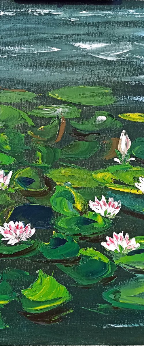 Waterlilies. Pleinair painting by Dmitry Fedorov