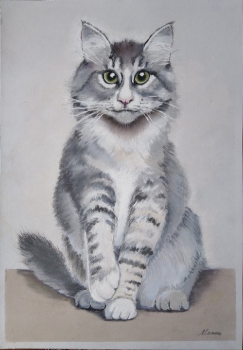 Fluffy gray cat by Liubov Samoilova