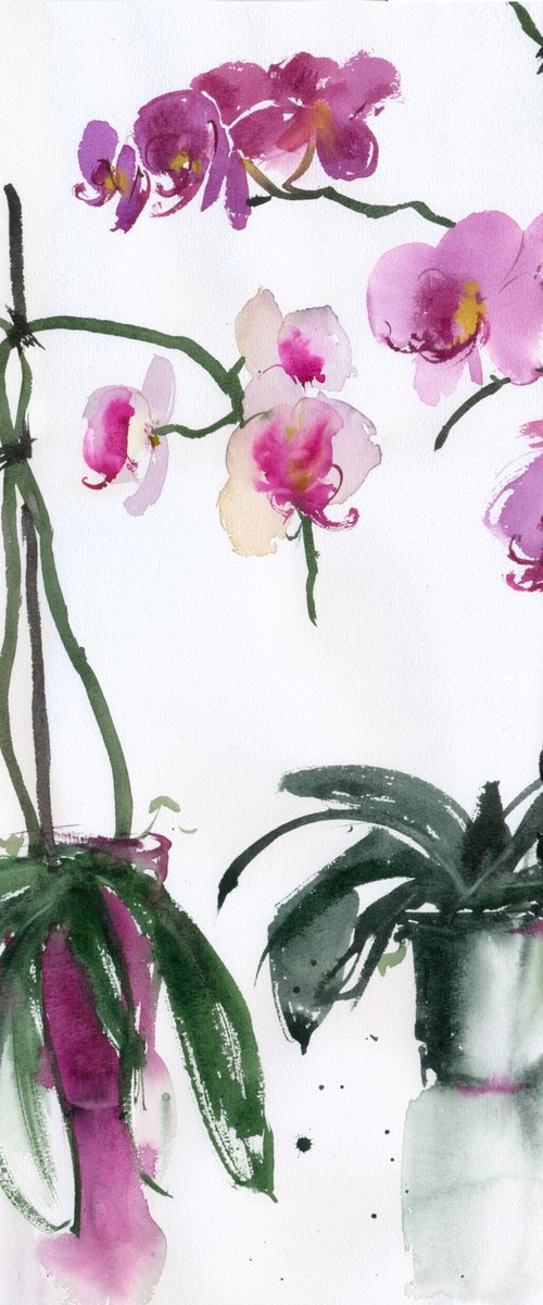 Orchids by Tatyana Tokareva