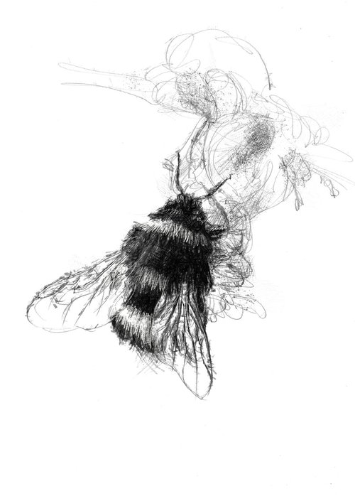 Bumblebee by Sean Briggs