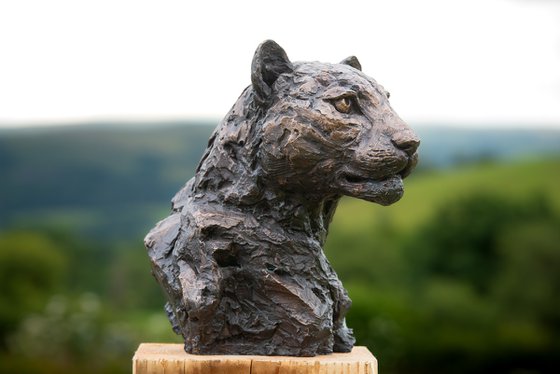 Leopard Portrait Foundry Bronze