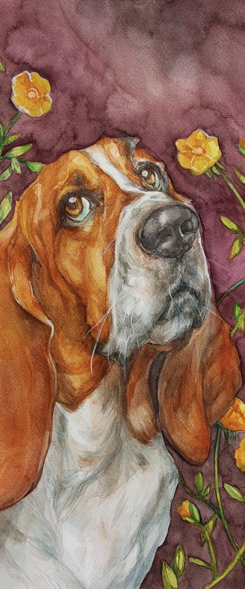 Bassett in love - dog portrait by Dunja Jung