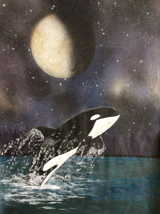 Killer Whale breaching in the moonlight