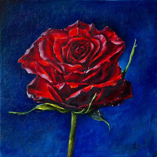 Rose on blue by Inga Loginova