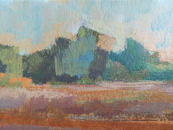 Longrun Meadow