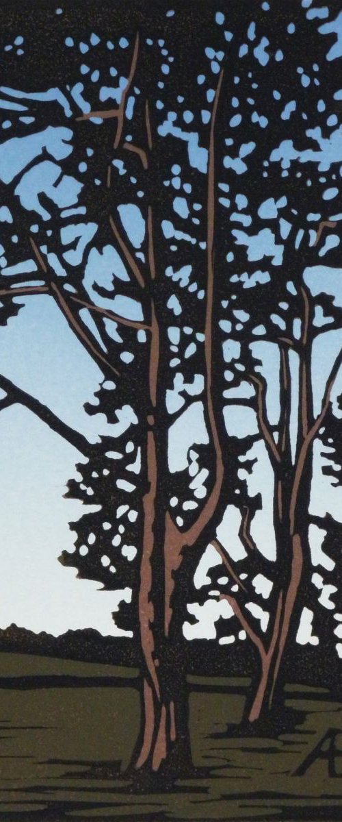 Waddesdon Trees by Alexandra Buckle