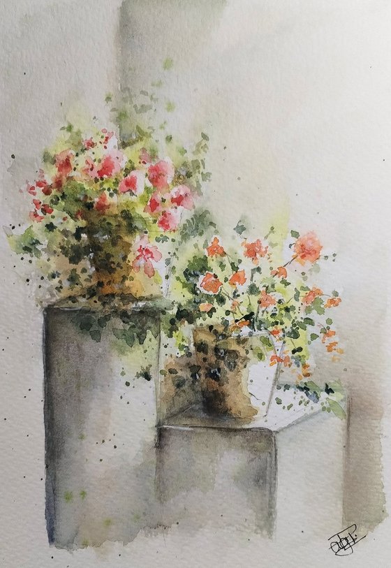 Summer Scent