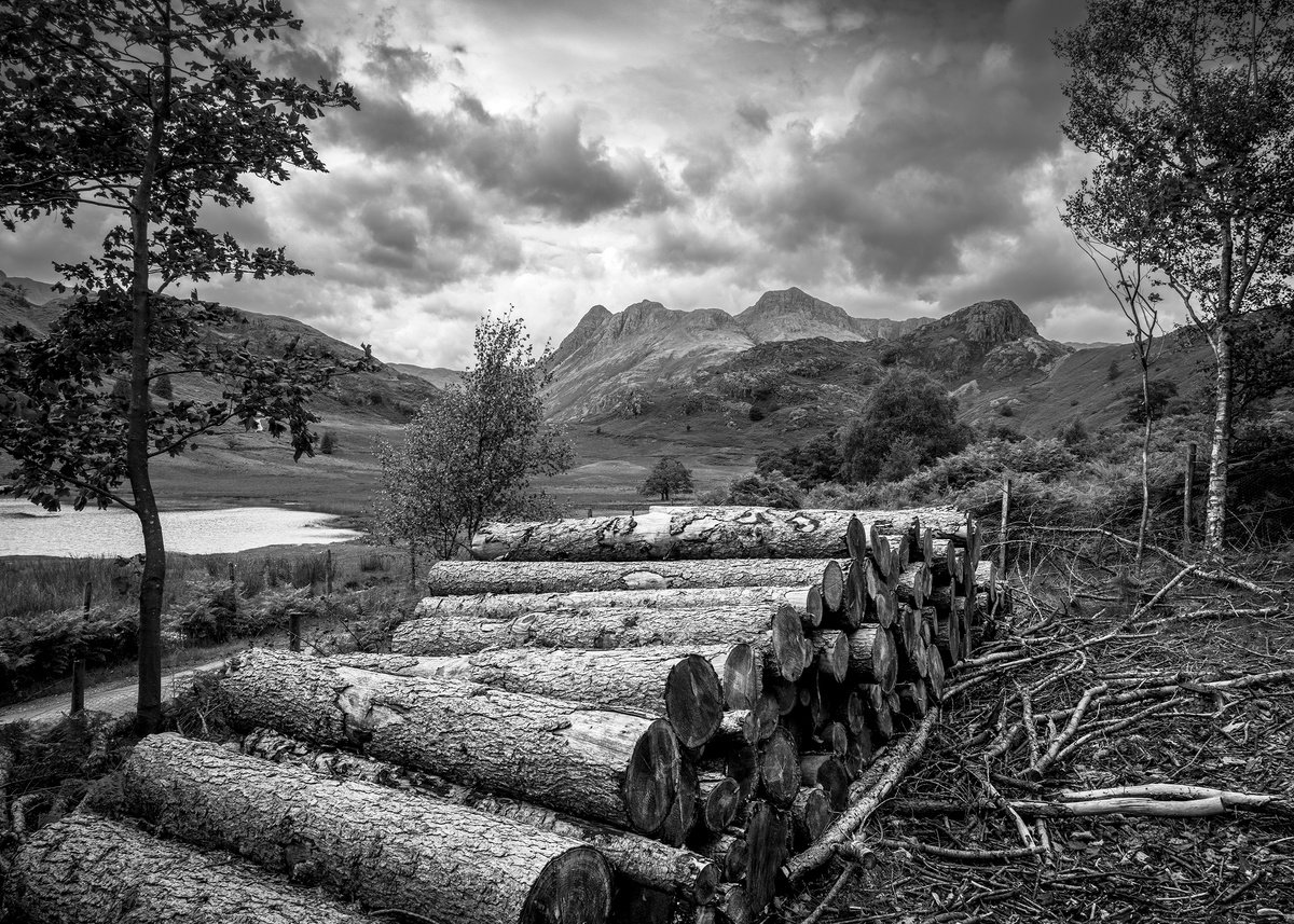 Photorealistic Landscape Photograph By Stephen Hodgetts Photography, 17 X 12", Great Langdale -Blea Tarn, Original Artwork