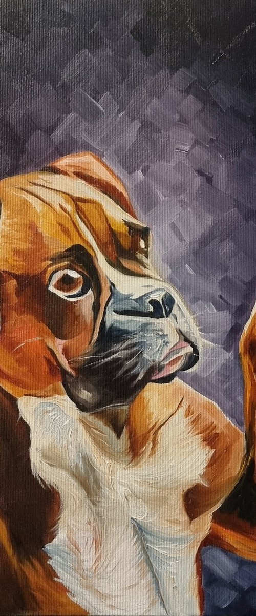 Boxer dog 30*40 by Anna Reznik