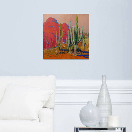 Evening. Saguaro Cactuses