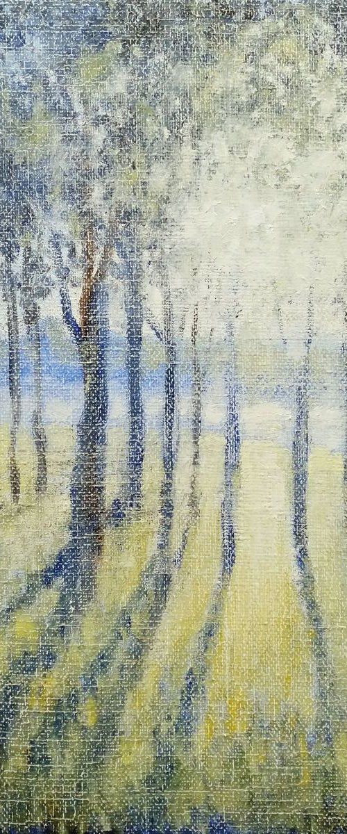 Morning sun by Oleh Rak