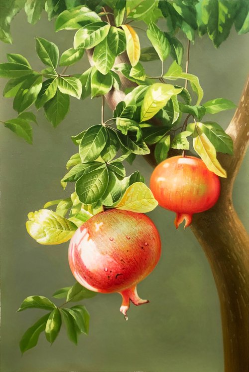 Still life:Pomegranates on the trees t170 by Kunlong Wang