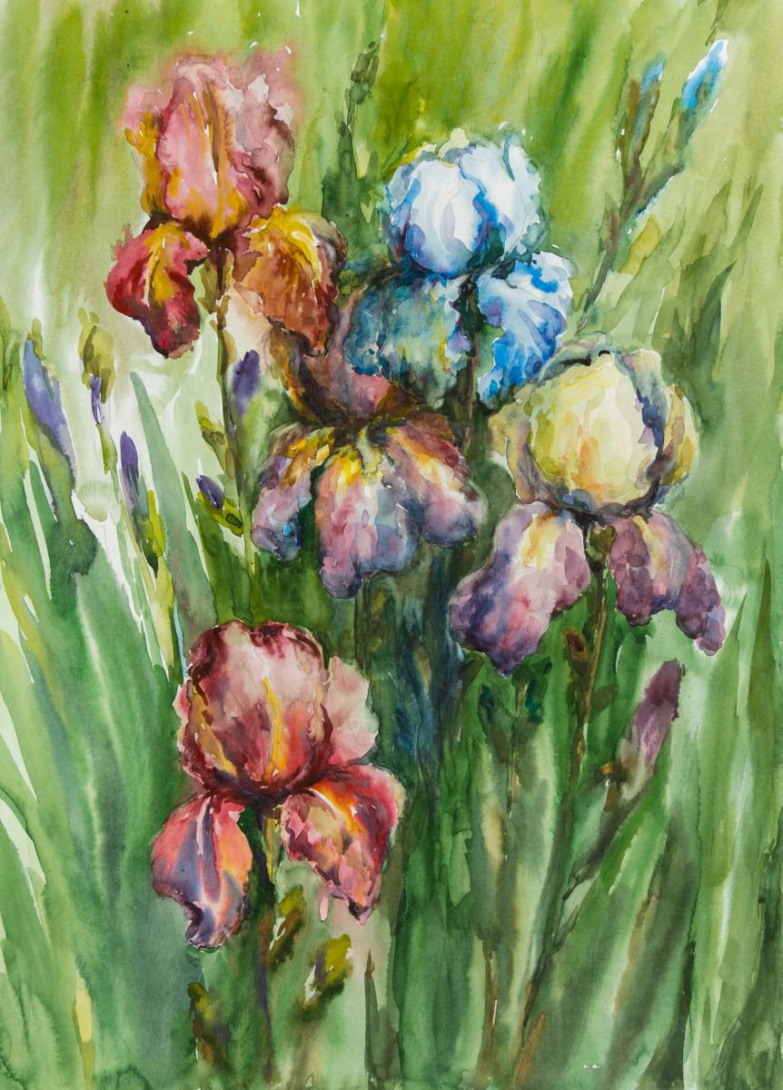 Impressionistic Botanical Watercolour By Galyna Shevchencko, 17 X 23, Iris Flowers, Original Artwork