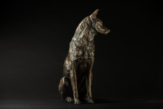 Sitting Jindo FB