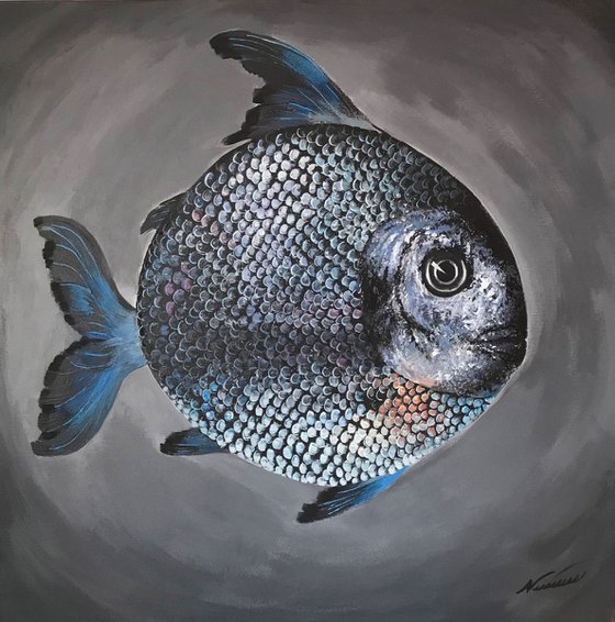 Fish Silver