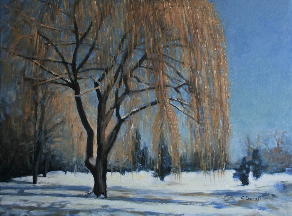Glittering Willow Tree by Caroline Donati